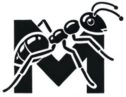 Moorcheh AI